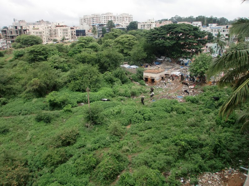 India Trip - July 2010 055.jpg